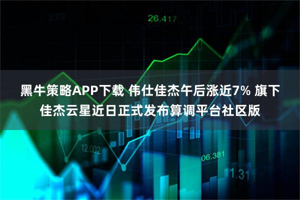 黑牛策略APP下载 伟仕佳杰午后涨近7% 旗下佳杰云星近日正式发布算调平台社区版