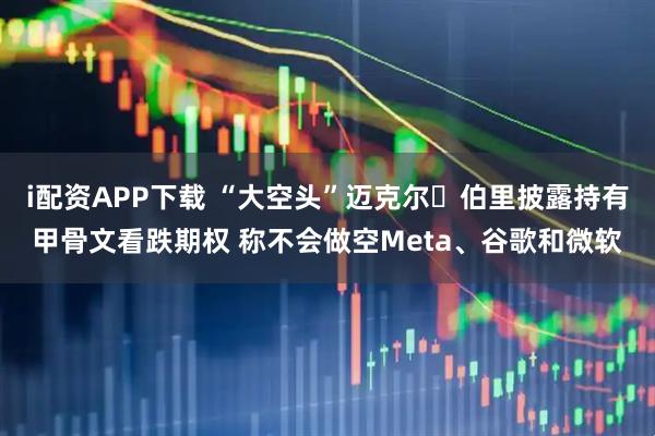 i配资APP下载 “大空头”迈克尔・伯里披露持有甲骨文看跌期权 称不会做空Meta、谷歌和微软