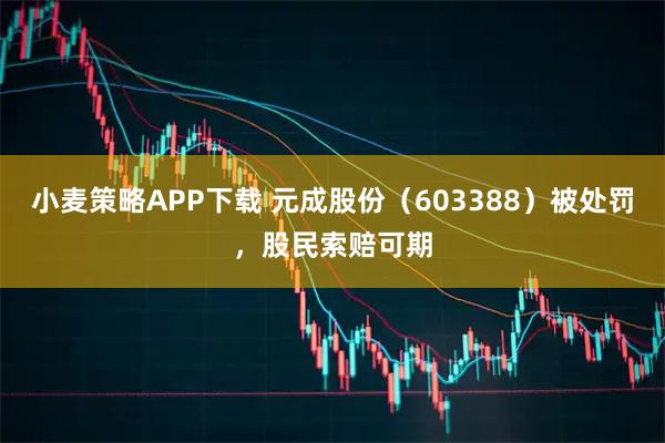 小麦策略APP下载 元成股份（603388）被处罚，股民索赔可期