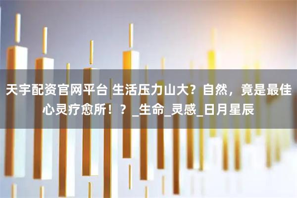 天宇配资官网平台 生活压力山大？自然，竟是最佳心灵疗愈所！？_生命_灵感_日月星辰